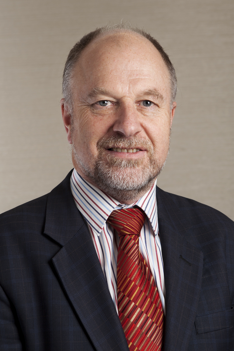 Professor Brian Oldenburg